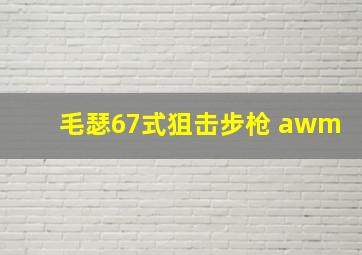 毛瑟67式狙击步枪 awm